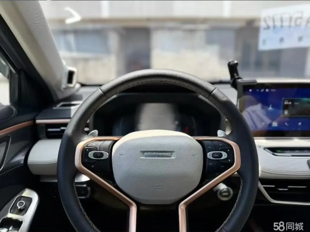 Haval Jolion 2021 car image #6