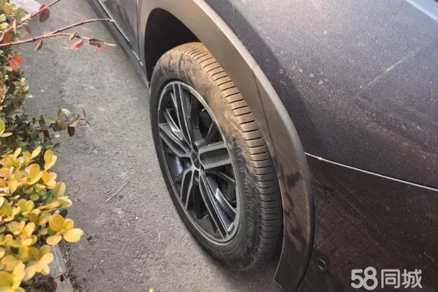 Exceed Chasing Wind 2020 car image #6