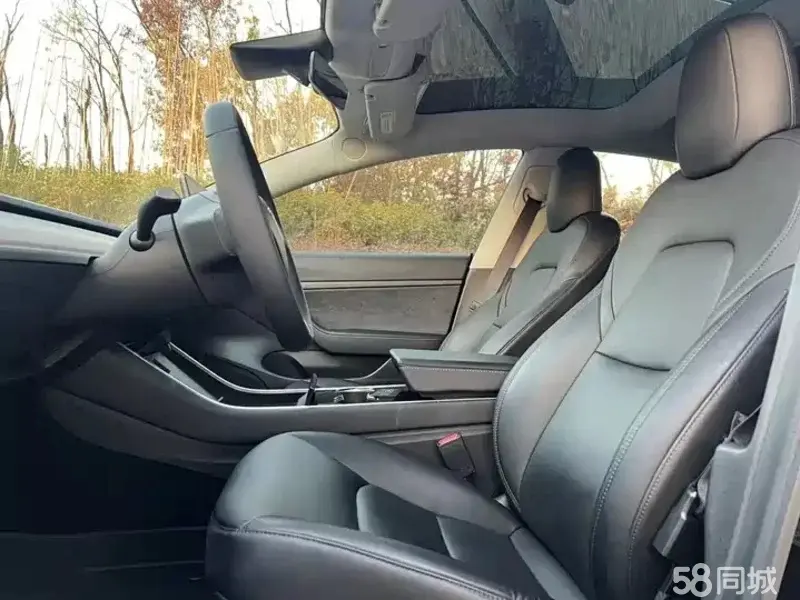 Tesla Model 3 2020 car image #6