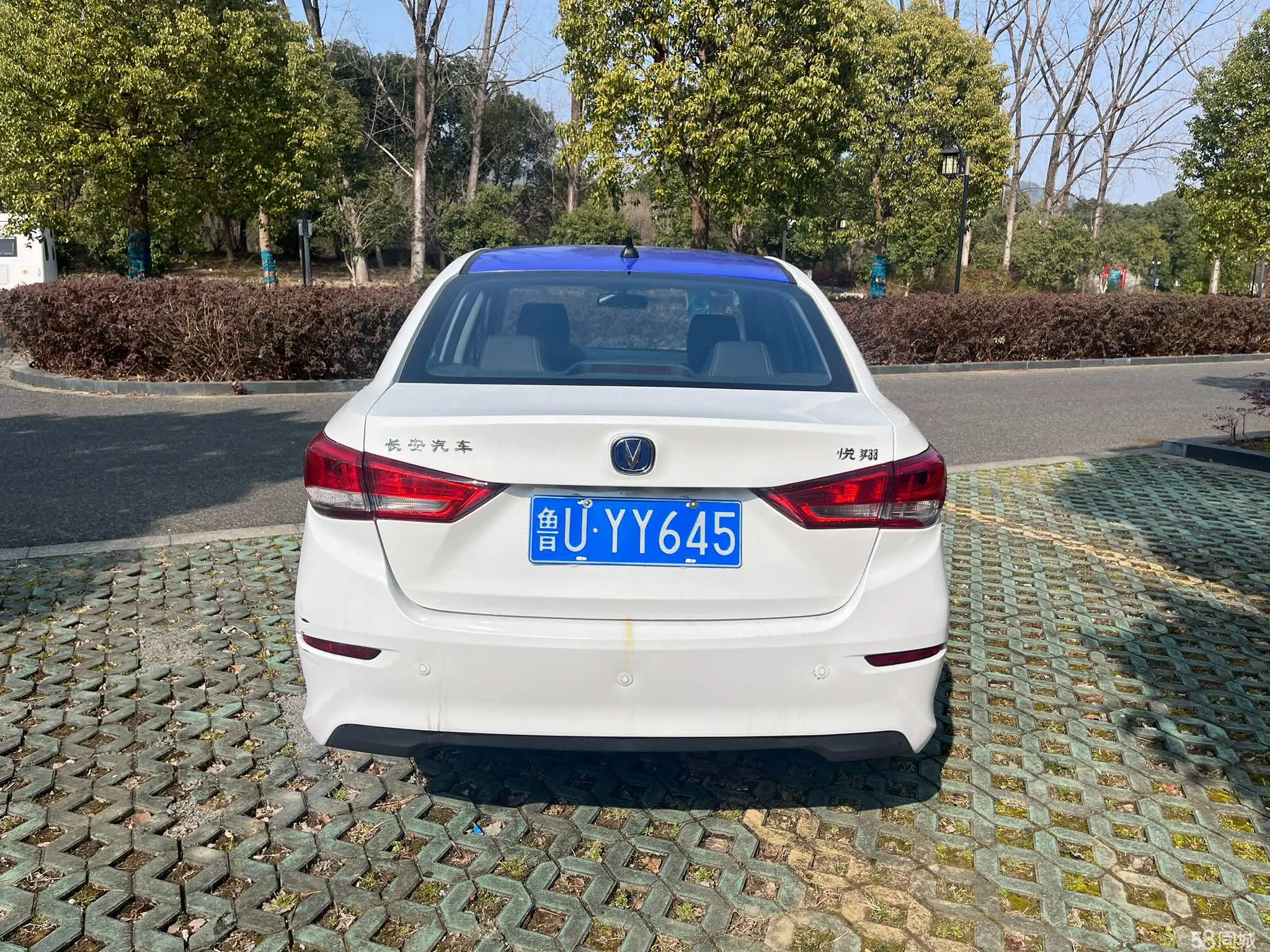 Changan Alsvin 2020 immagine di auto #6