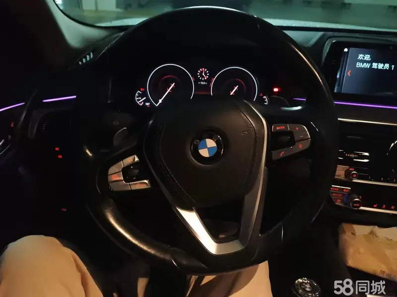BMW 5 Series 2018 car image #6