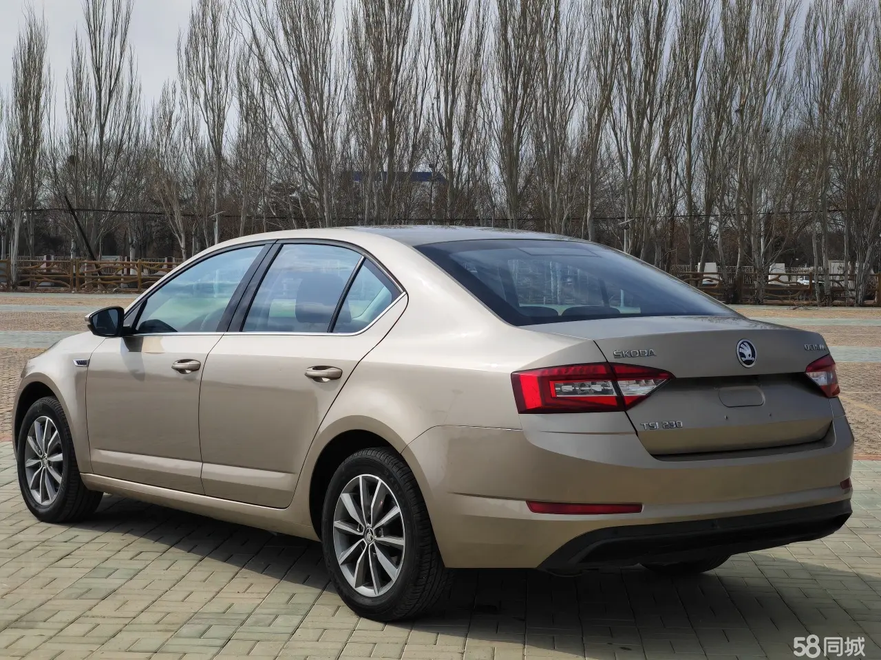 Skoda Octavia 2018 car image #6