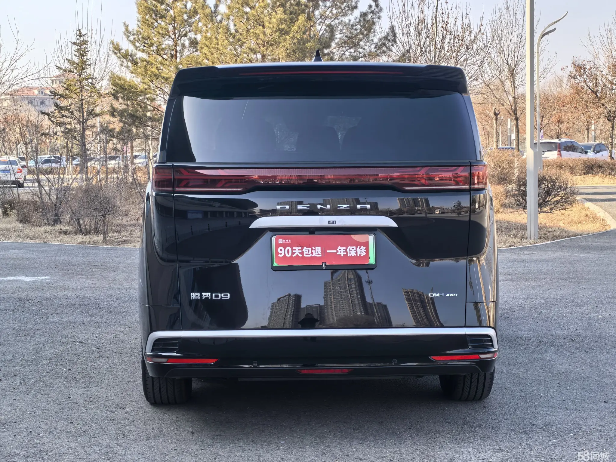 Denza D9 2024 image de voiture #6