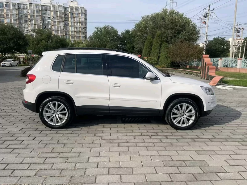 大众 Tiguan 2009 汽车图片 #6