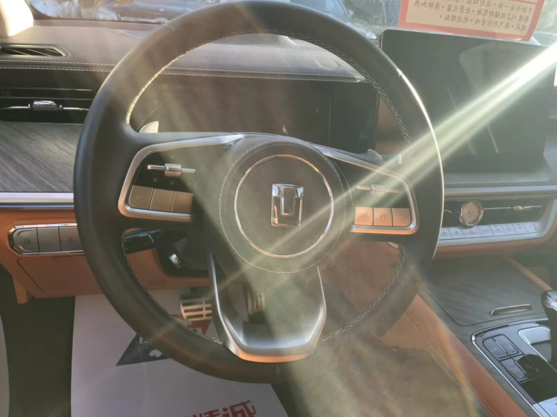 Tank 500 2023 imagen de coche #6