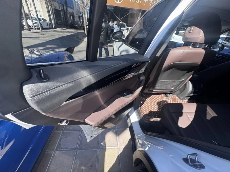 X3 2020 car image #6