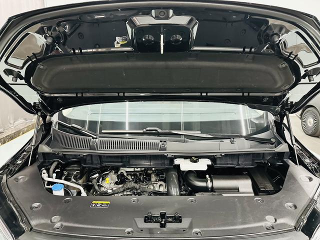 HongQi HQ9 2023 #42 HongQi HQ9 2023 car image #42