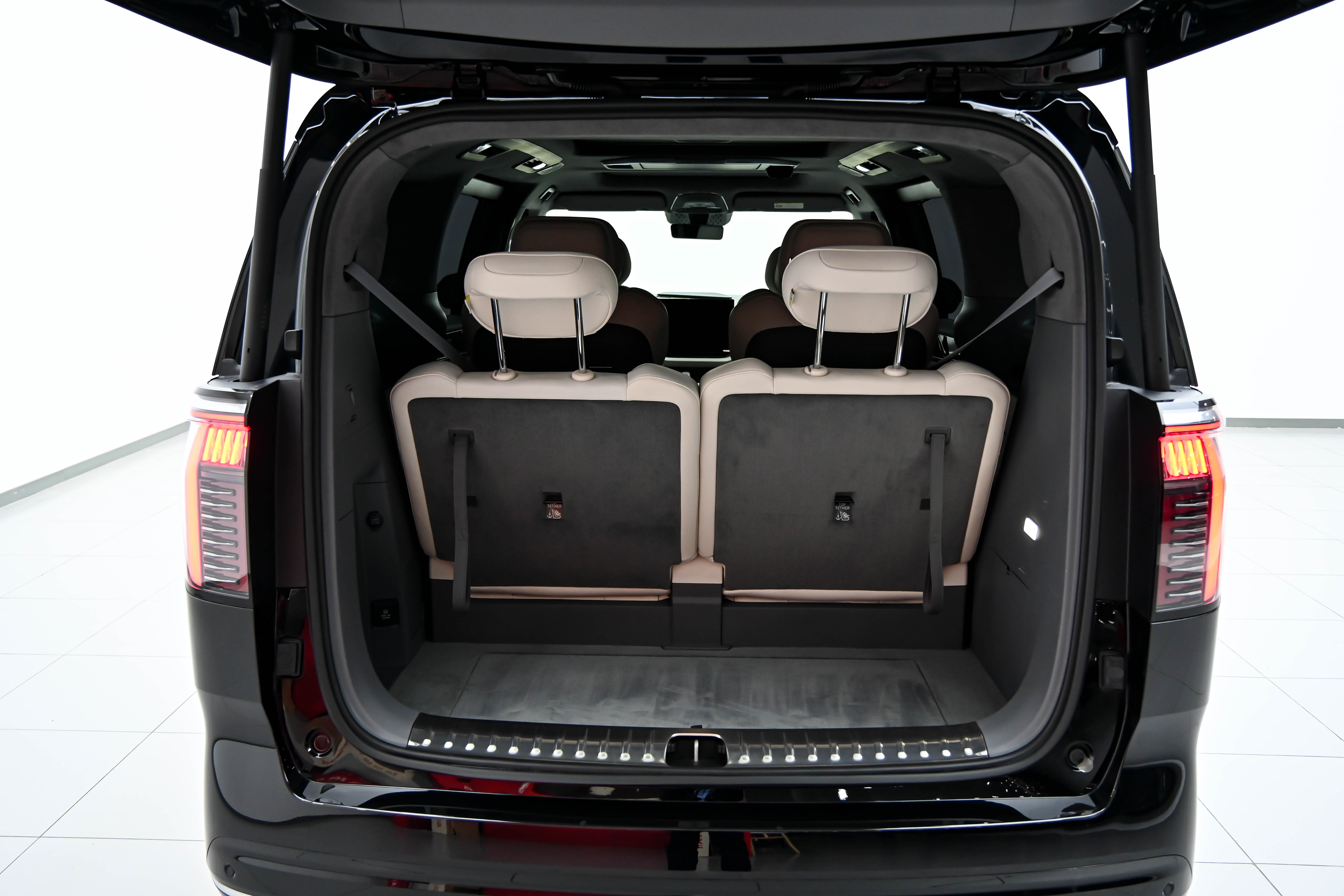 极氪 极氪009 2024 汽车图片 #42