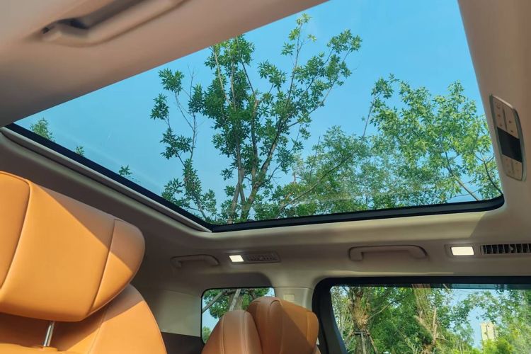 HongQi HQ9 PHEV 2024 immagine di auto #42