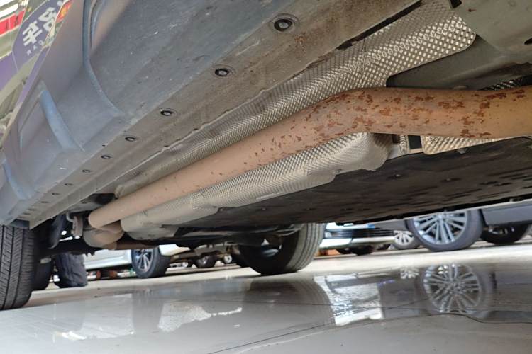 Haval Raptor 2023 #42 Haval Raptor 2023 immagine di auto #42