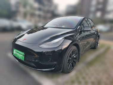 Tesla Model Y 2021 Tesla Model Y 2021 car image
