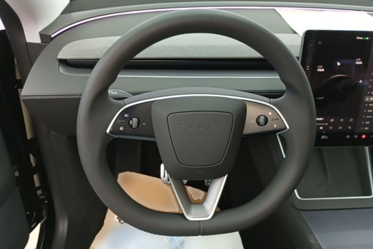 Tesla Model Y 2025 car image #11