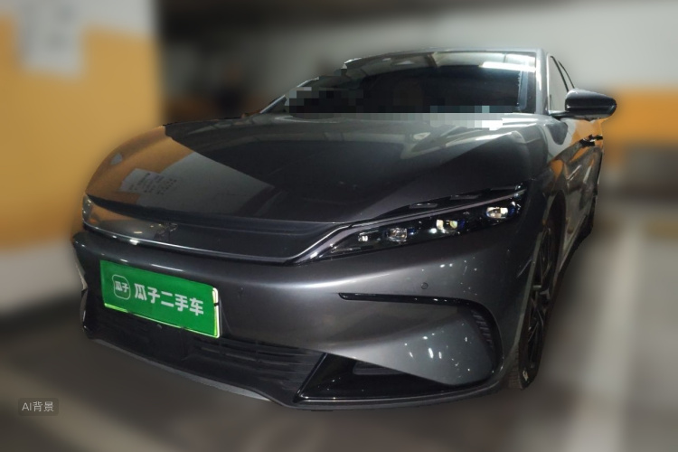 BYD Han 2022 immagine di auto #2