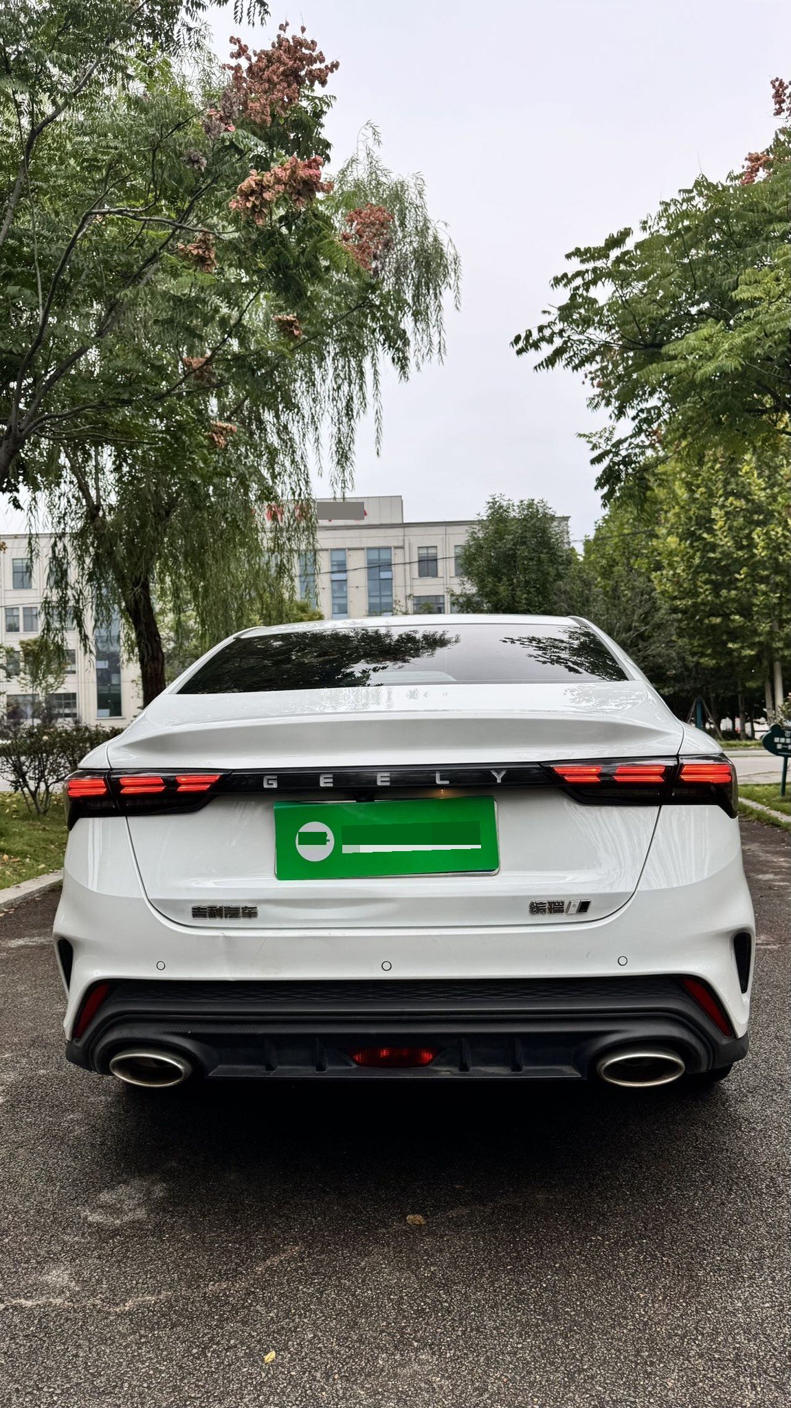GEELY Binray 2023 immagine di auto #8