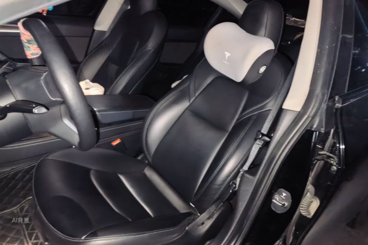 Tesla Model 3 2021 immagine di auto #17