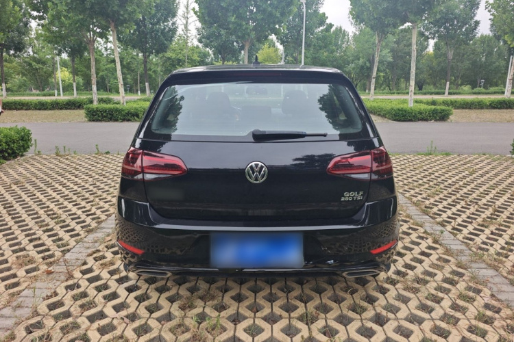 Volkswagen Golf 2019 #6 Volkswagen Golf 2019 car image #6