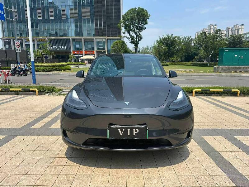 Tesla Model Y 2024 car image 
