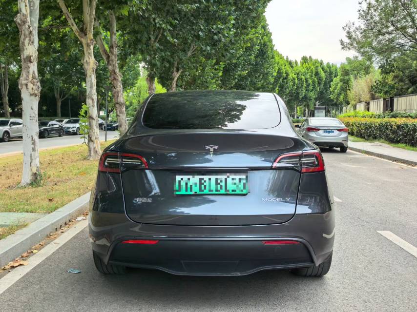 Tesla Model Y 2024 #8 Tesla Model Y 2024 car image #8