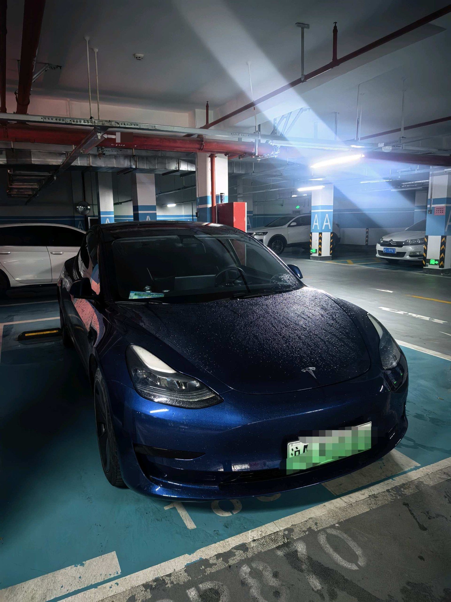 Tesla Model 3 2021 #6 Tesla Model 3 2021 immagine di auto #6