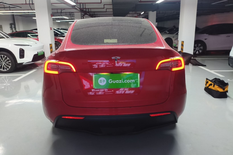 Tesla Model Y 2021 car image #6