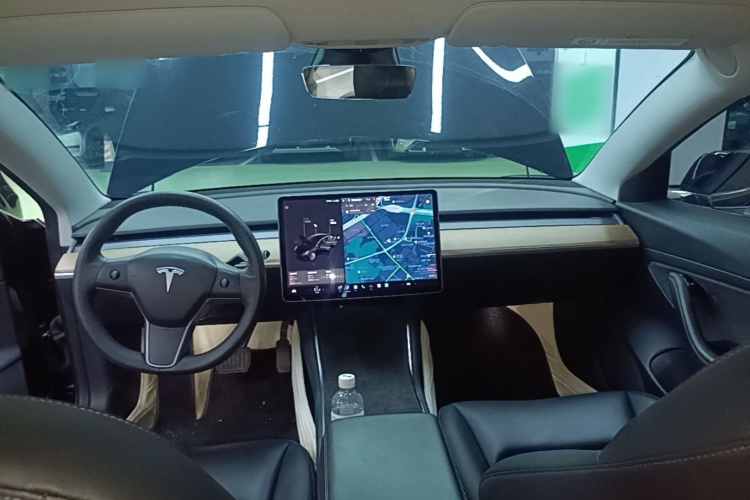 Tesla Model 3 2020 #10 Tesla Model 3 2020 imagen de coche #10