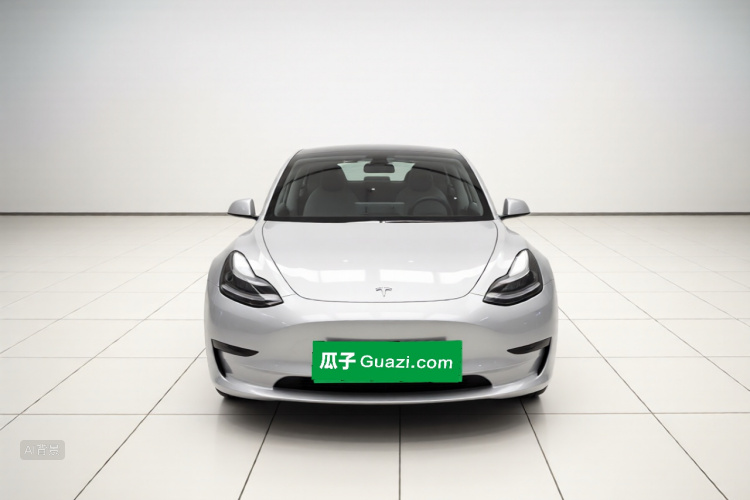 Tesla Model 3 2020 car image #4