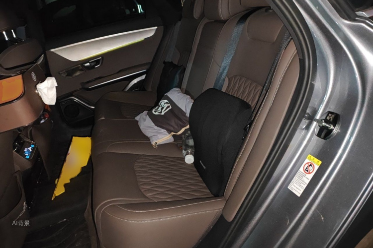 BYD Han 2024 car image #19