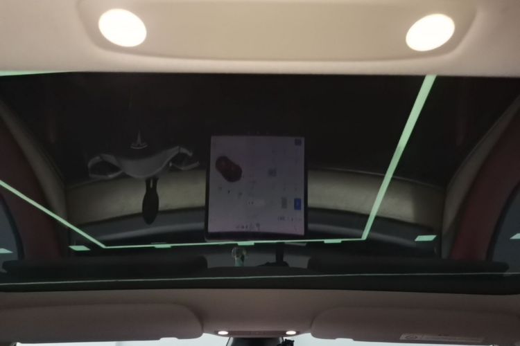 Tesla Model 3 2021 #18 Tesla Model 3 2021 car image #18