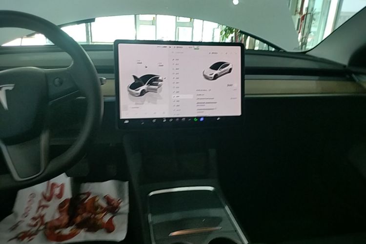 Tesla Model 3 2023 #13 Tesla Model 3 2023 immagine di auto #13
