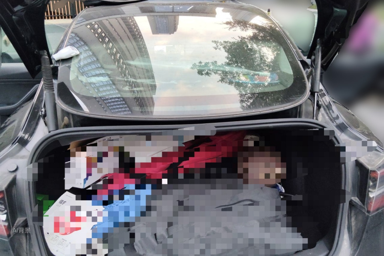 Tesla Model 3 2021 car image #21