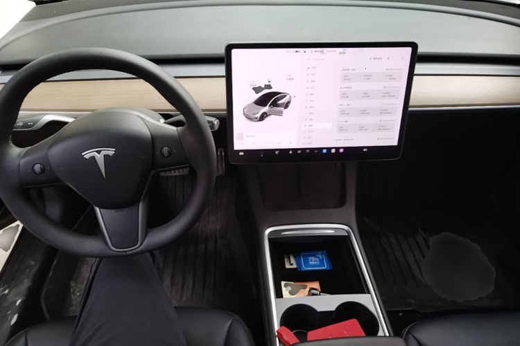 Tesla Model 3 2021 car image #10
