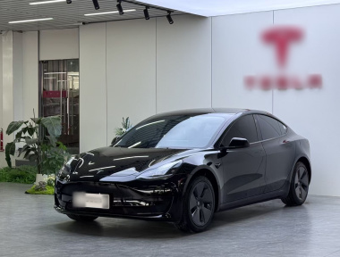 Tesla Model 3 2023 Tesla Model 3 2023 car image