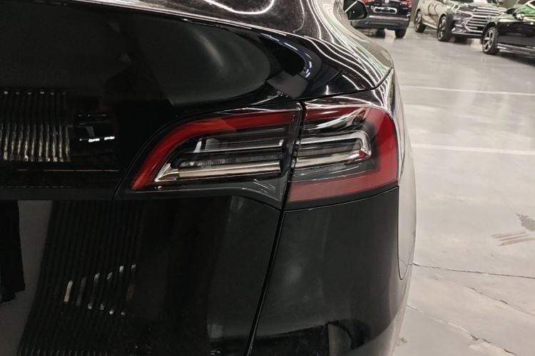 Tesla Model Y 2021 #8 Tesla Model Y 2021 car image #8