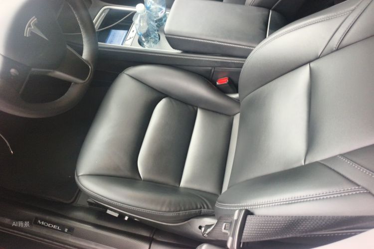 Tesla Model 3 2022 car image #17