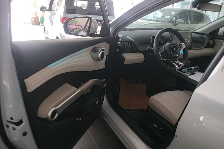 BYD Yuan Plus 2024 car image #12