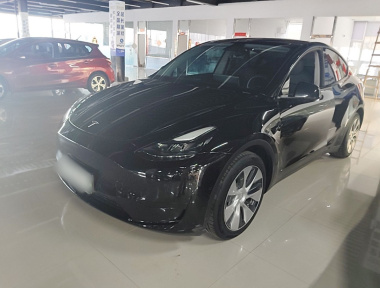 Tesla Model Y 2022 Tesla Model Y 2022 car image