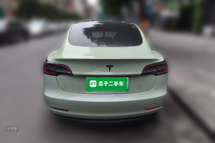 Tesla Model 3 2021 car image #6