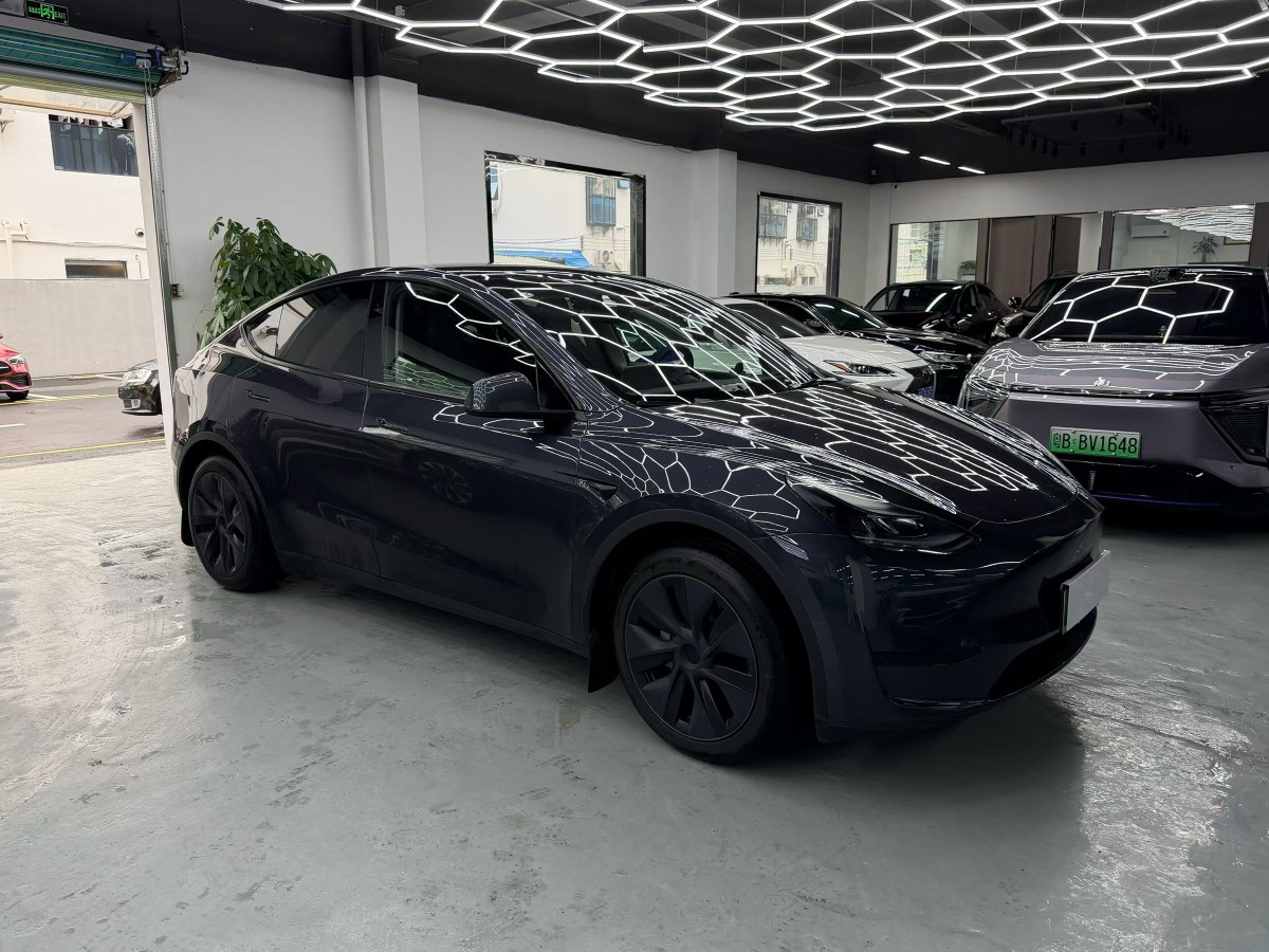 Tesla Model Y 2024 car image #4