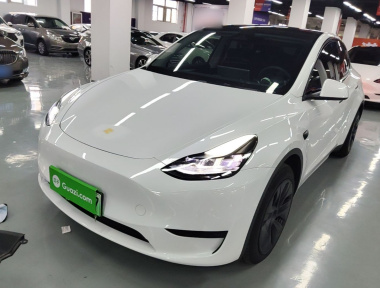 Tesla Model Y 2024 car image 