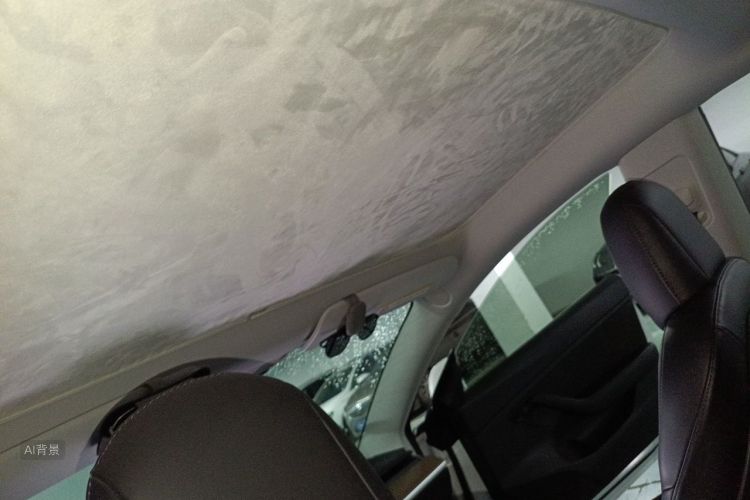 Tesla Model 3 2020 imagem de carro #20