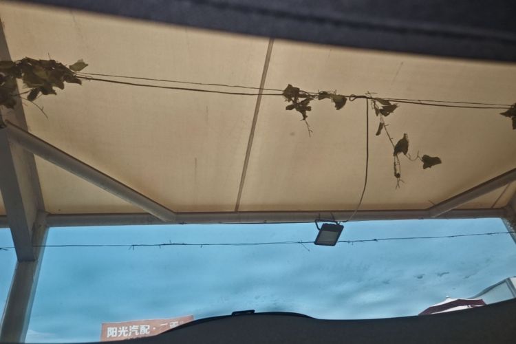 MI SU7 2024 car image #18
