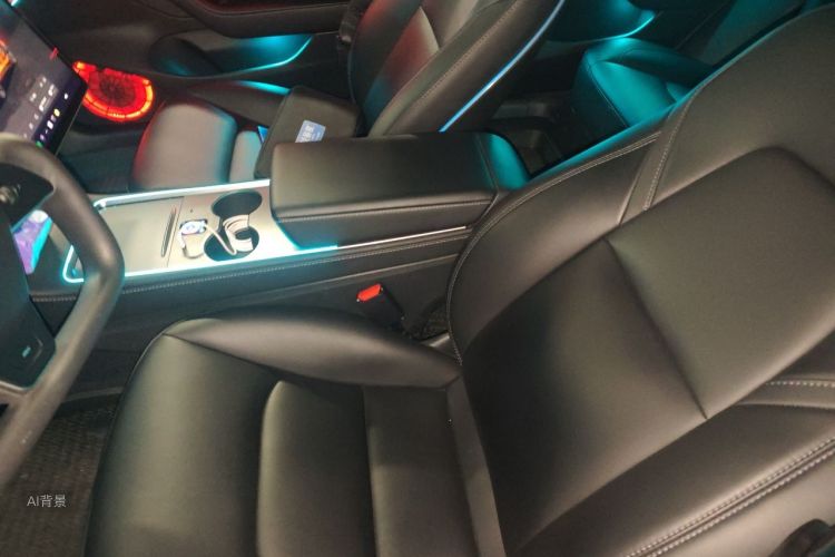 Tesla Model 3 2022 car image #17