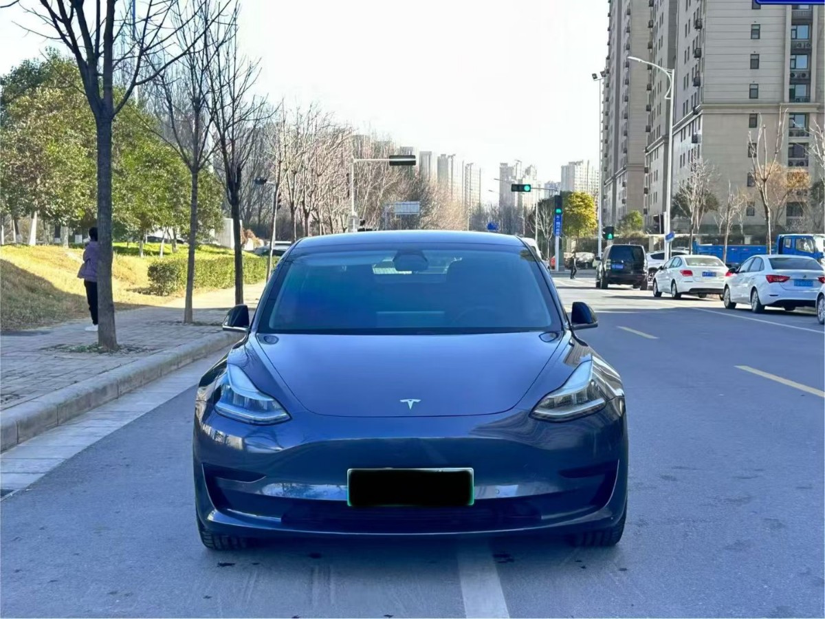 Tesla Model 3 2020 car image #2