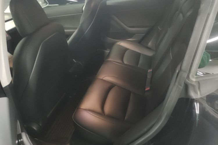 Tesla Model 3 2020 car image #17