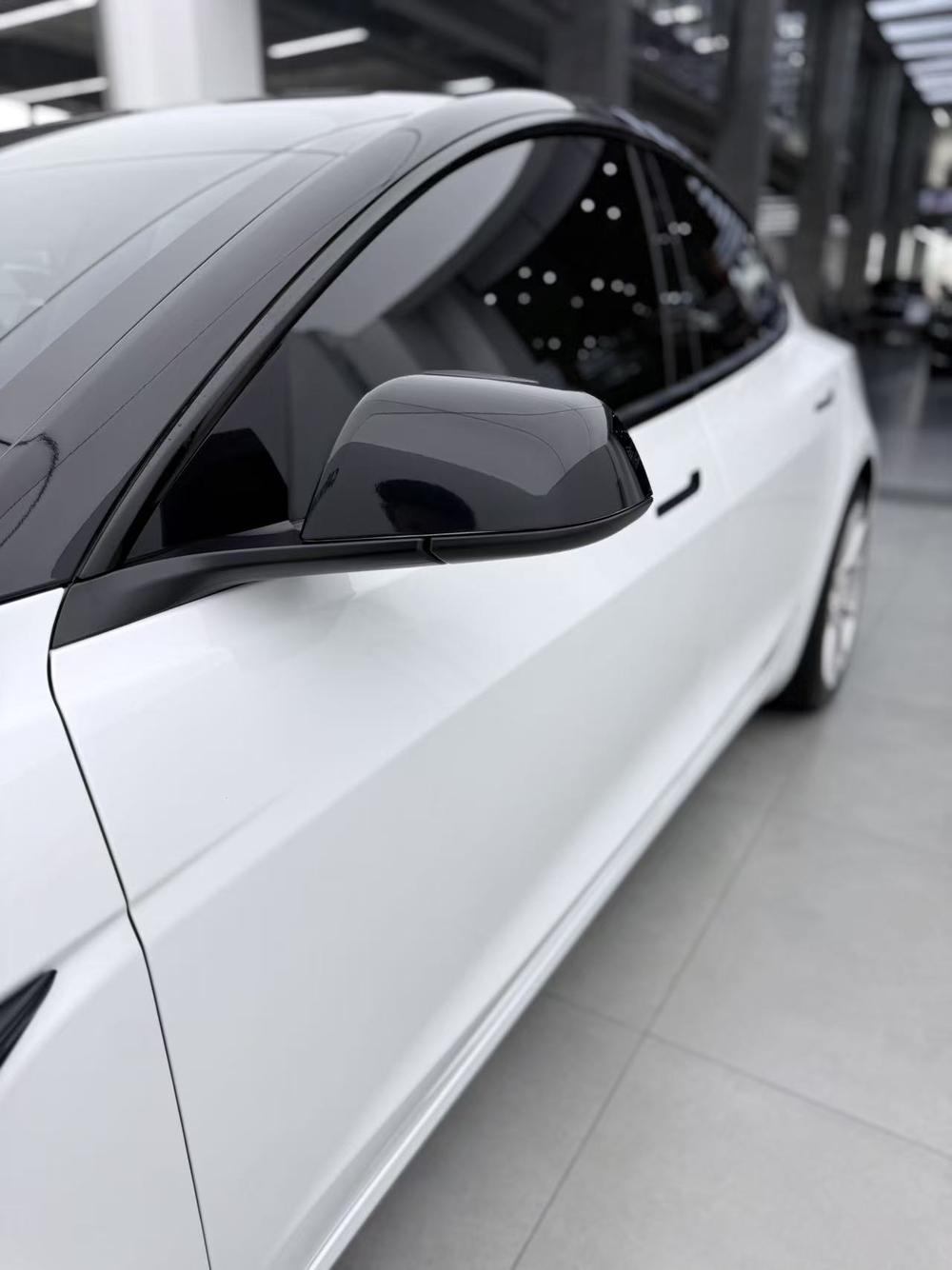 Tesla Model 3 2024 imagem de carro #15