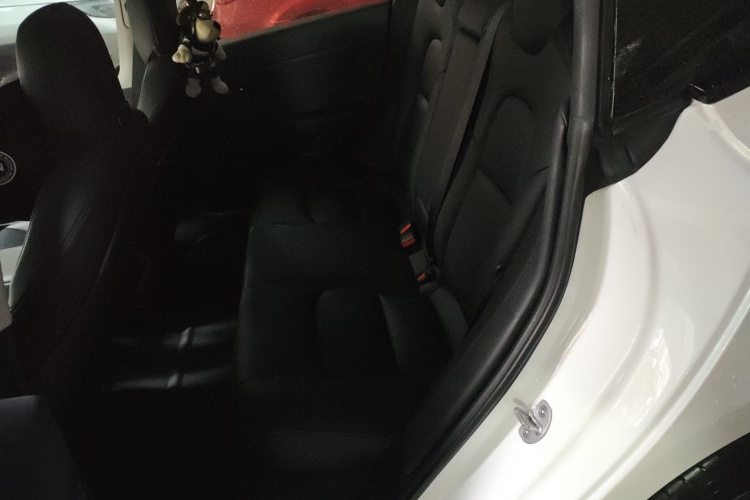 Tesla Model 3 2022 #17 Tesla Model 3 2022 car image #17