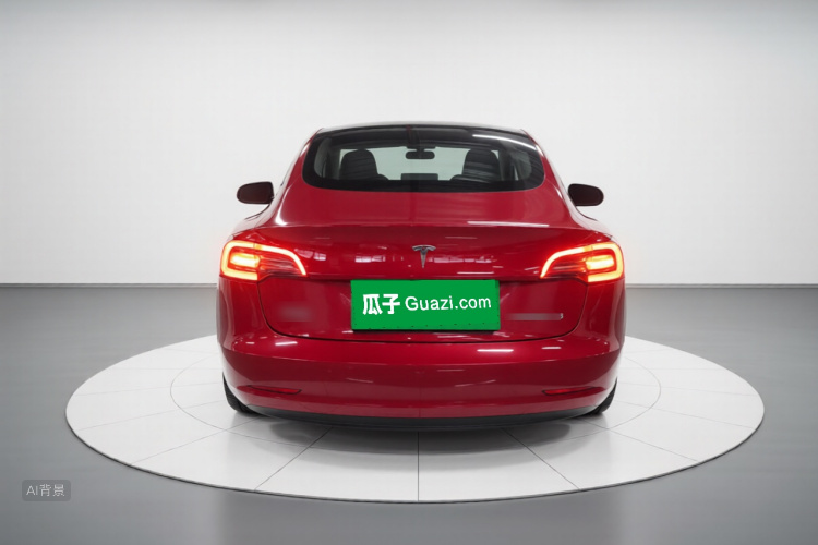 Tesla Model 3 2021 car image #6