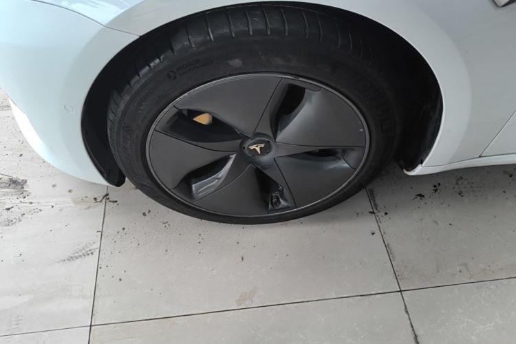 Tesla Model 3 2020 immagine di auto #9