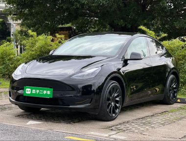 Tesla Model Y 2023 car image 