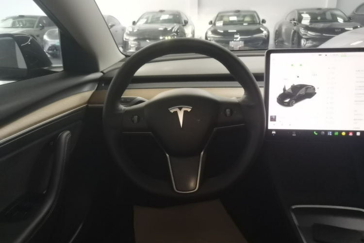 Tesla Model 3 2021 #11 Tesla Model 3 2021 car image #11